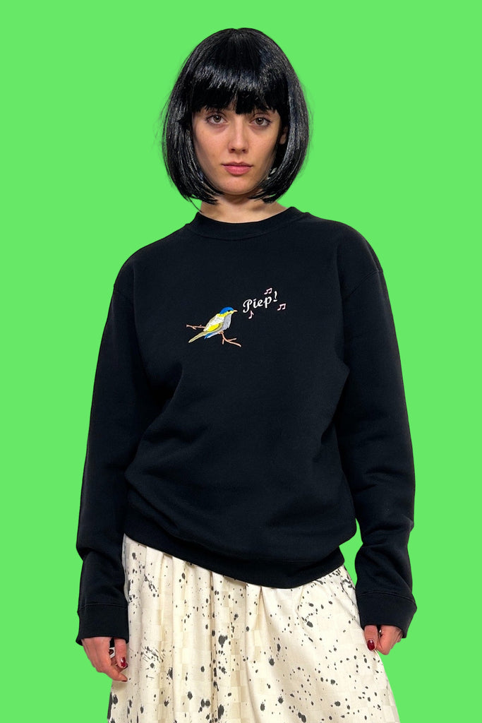 sweater with colorful embroidery showing a bird and the word PIEP