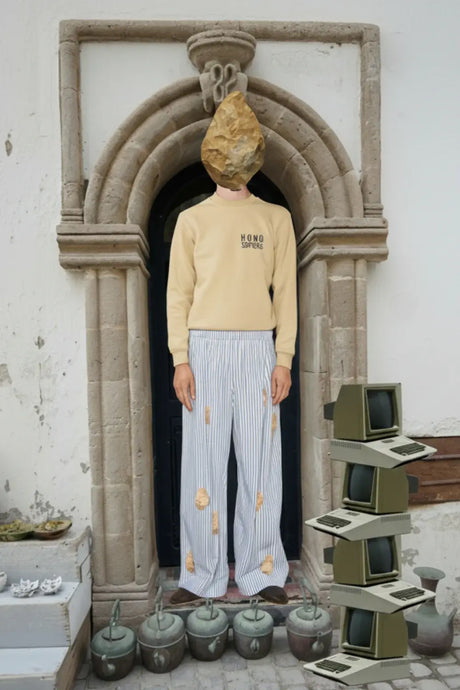 homo-sapiens-sweater-sweaters-modelle-420-15949-2_ed0440f0-b14e-475a-8bc6-02932ad74a0d - starstyling